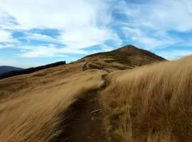 Baza w Bieszczady