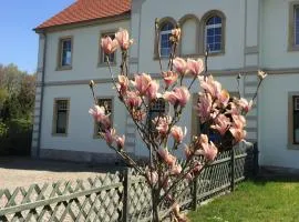 Stara Szkoła Dębowy Gaj The Old School Dębowy Gaj