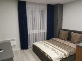 Silver Star Apartment