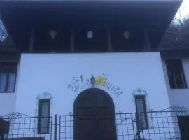 Vila Licurici