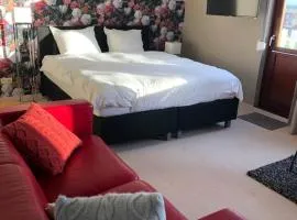 B&B de grote Zeearend