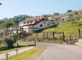 CASALE MICHEL