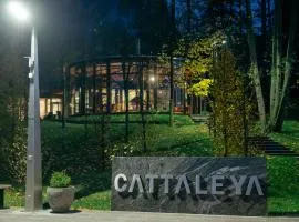 Resort CATTALEYA