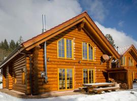 Luxus-Ferienhaus Blockhaus Chalet Nr 3 Toplage am Feldberg mit Sauna, Outdoor-Hottub, Kamin auf 1300m üM, hotel v destinácii Feldberg