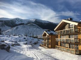 Chalet Norvinga Jasná, отель в Демяновской долине, рядом находится Лыжный курорт Ясна