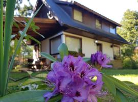 Cabaña Modern Family，位于拉安戈斯图拉镇的酒店