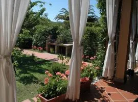 Bungalow Jasmin - 779218