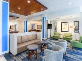 Holiday Inn Express & Suites Chicago O'Hare Airport by IHG