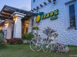 Lemon Resort