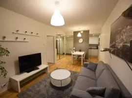 Rental Apartment Lonttinen Suomen Vuokramajoitus Oy