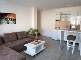 Apartment GEA 1