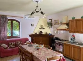 Guest House Brandino Pani