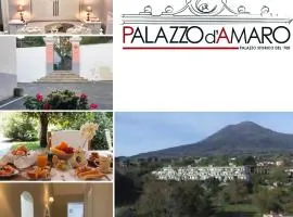 Palazzo D'Amaro Historical Residence