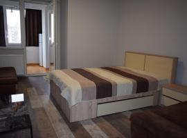 Apartament Hospital View Independentei RHBM, דירה בבאיה מארה