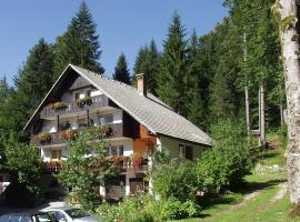 Accommodation Destina, LAKE BOHINJ, hotel in Bohinj