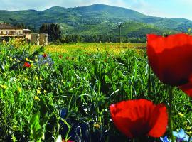 Agriturismo La Petrosa, hotel v destinácii Ceraso