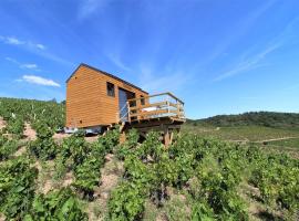 Tiny house au cœur du vignoble beaujolais, parkimisega hotell sihtkohas Fleurie