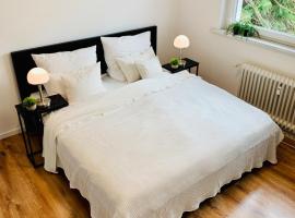 Direkte Uninähe: Ferienwohnung mit großem Doppelbett, Küchenzeile und neu renoviertem Badezimmer, cheap hotel in Homburg