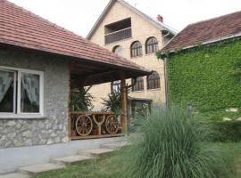 Seosko turisticko domaćinstvo Jagor, apartment in Despotovac
