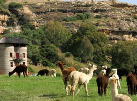 Fairview Estates, glampingplads i Fouriesburg