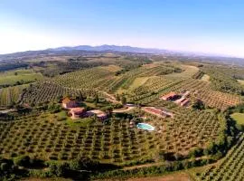 Tenuta Agricola Fraschiera