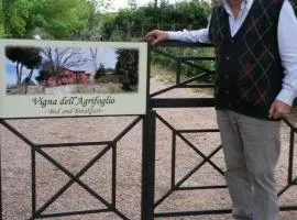 Vigna dell'Agrifoglio - Bed and Breakfast