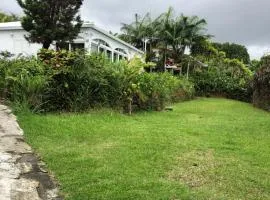 Cool Home