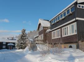 Eikre Fjellgård, hotel en Hemsedal