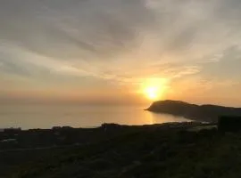 Whalejoy - A glimpse of heaven