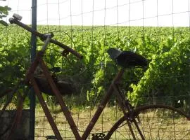 Au Coeur Des Vignes