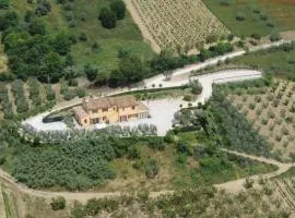 Acquarello