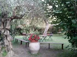 Gli Ulivi Bed & breakfast