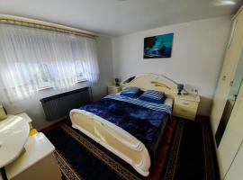 Apartman Goran - 130m Radiochirurgia，Sveta Nedelja的度假住所