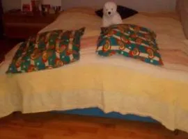 CHAMBRE CHEZ L HABITANT