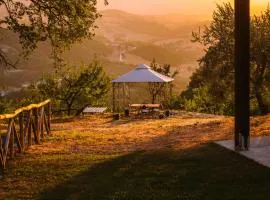 Agriturismo Amargi