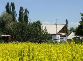 Mountain Horse Trekking Guesthouse