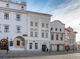 TGM Hotel Residence, hotell i Znojmo