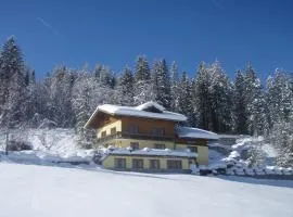 Austrian Alps - Haus Kienreich