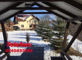 Pensiunea 7 Brazi, hotel en Poiana Mărului