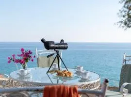 Margarita Apartments