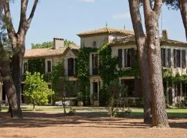 Domaine de la JASSO, Grand luxe au pied de la Cité de Carcassonne, piscines et parc animalier