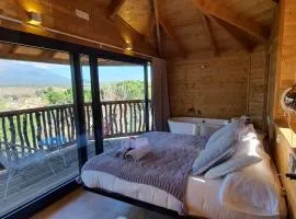 Les Suites