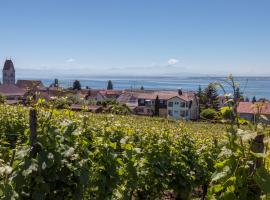 Ferienhof Berger UG, rodinný hotel v destinaci Hagnau