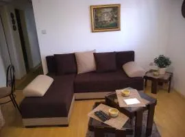 Apartment Vojinovic