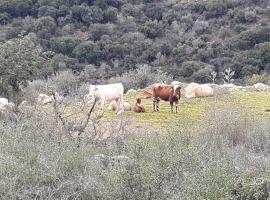Country lodging in Manot, hotel v destinaci Manot