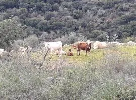 Country lodging in Manot