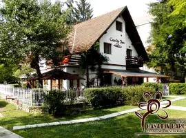 Casa din Parc