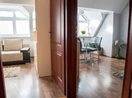 apartameny Tadeusz 406