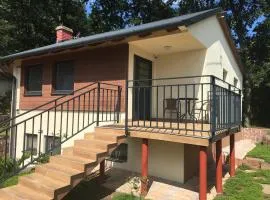 Balaton Wellness Tom Cat nyaraló 1 wellness és 1 gyermekbarát apartmannal