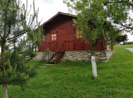 Pensiunea Gernik 100, hotel v destinaci Gârnic
